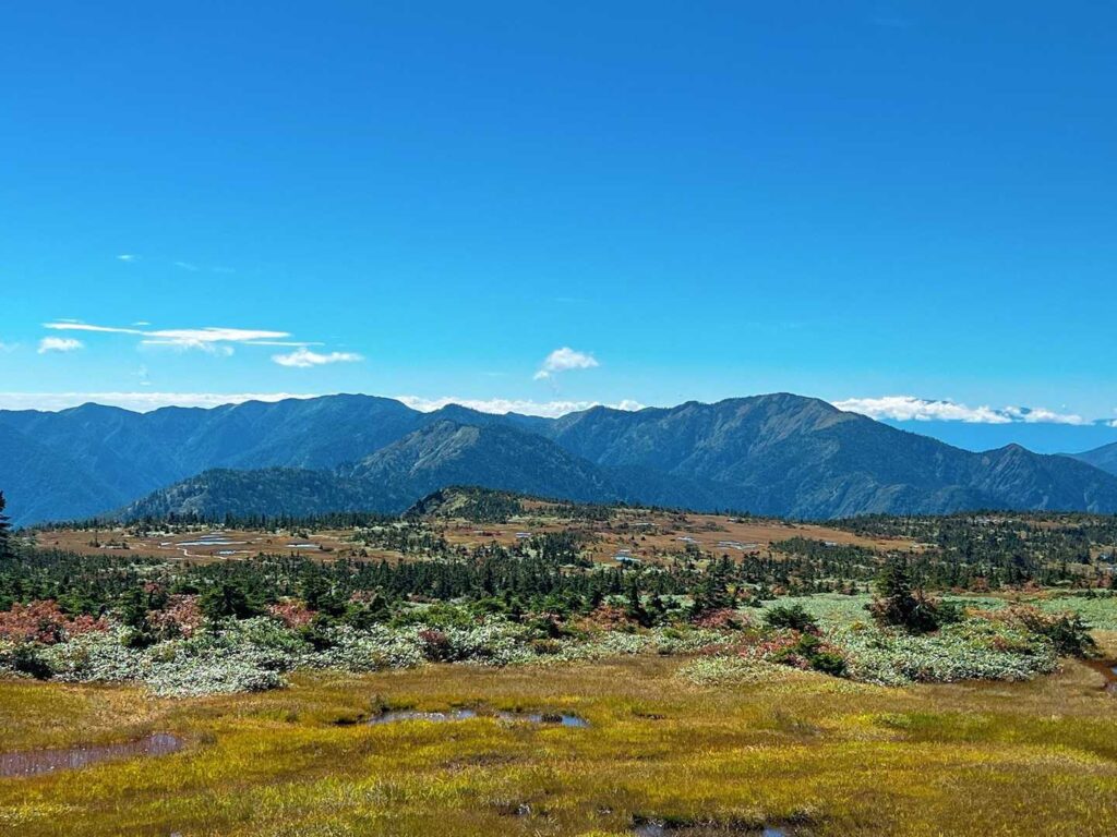 山頂湿原の池塘と青空