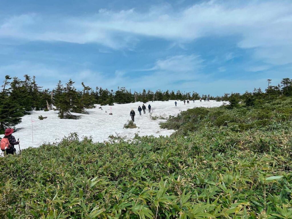 雪の上を歩く人たちの列