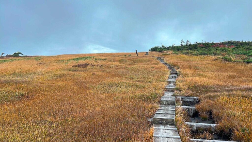 池ノ岳方面の木道と草原