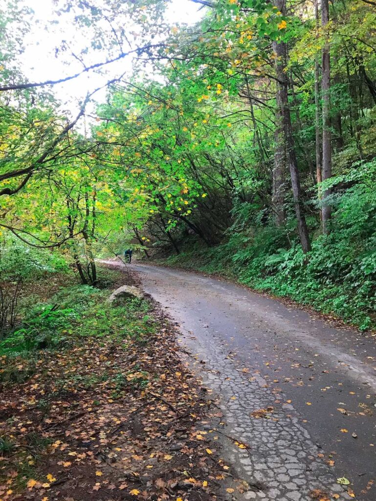 舗装された登山口への道