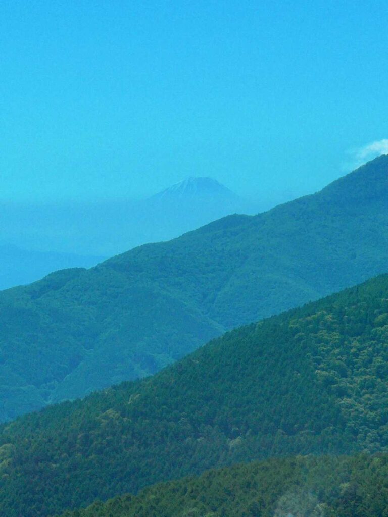 遠くに富士山もチラッと🗻