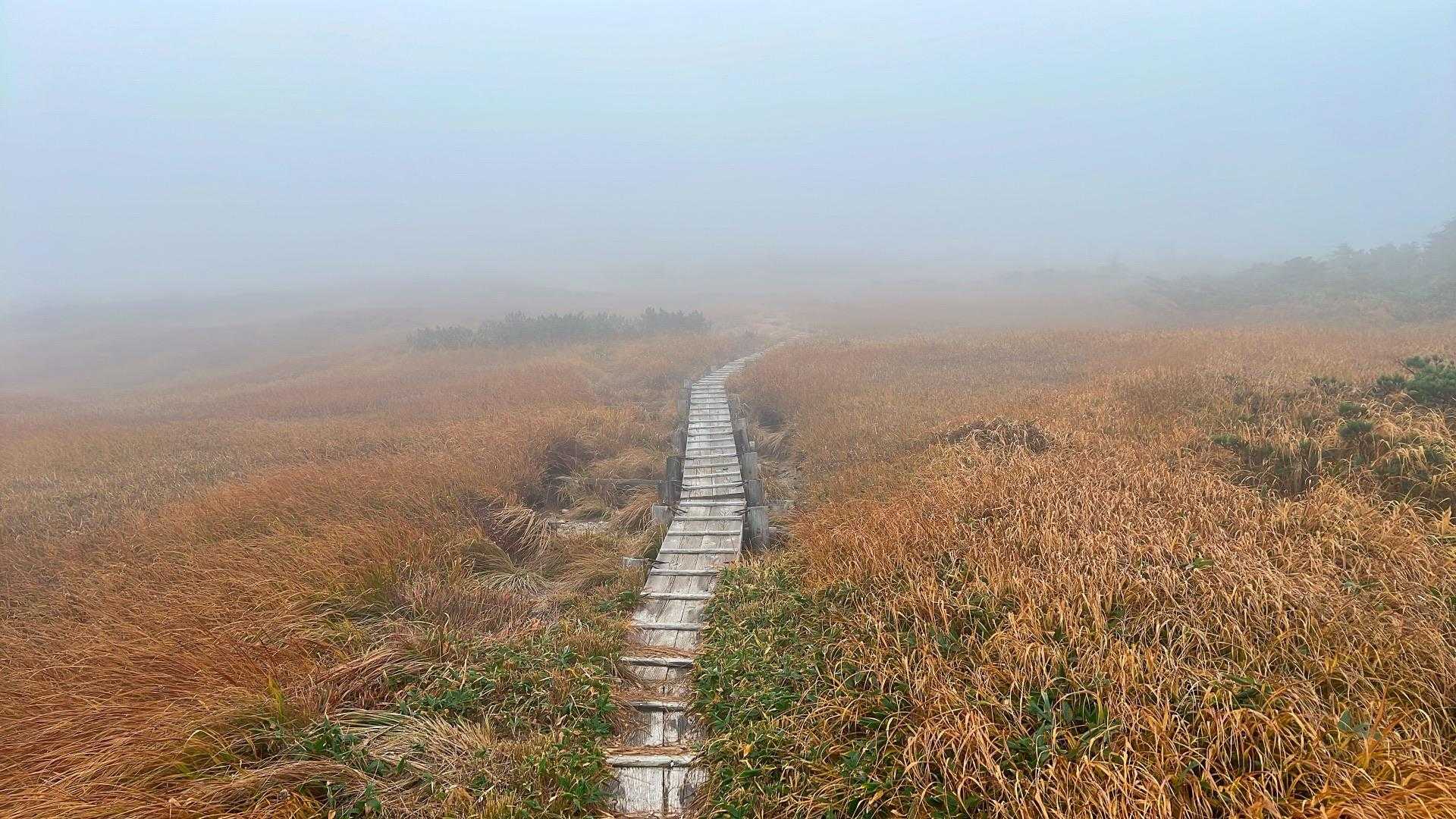 山頂方面は完全にガスってます💦