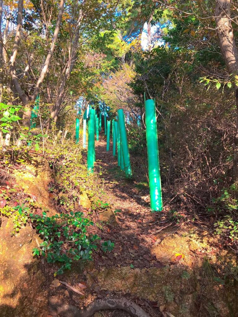 道端で発見した謎の物体「これは何？」