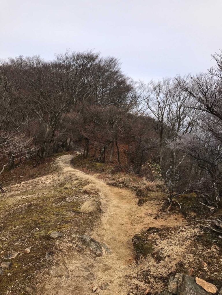 釈迦岳を目指します