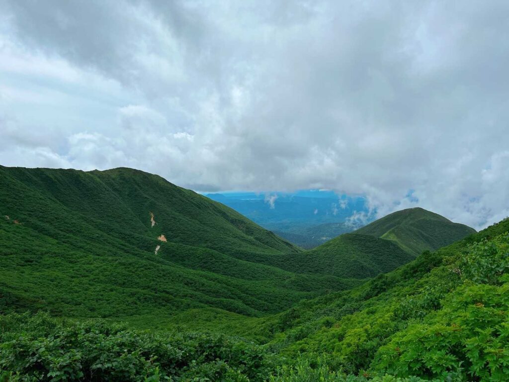 緑の山並みが広がるパノラマ