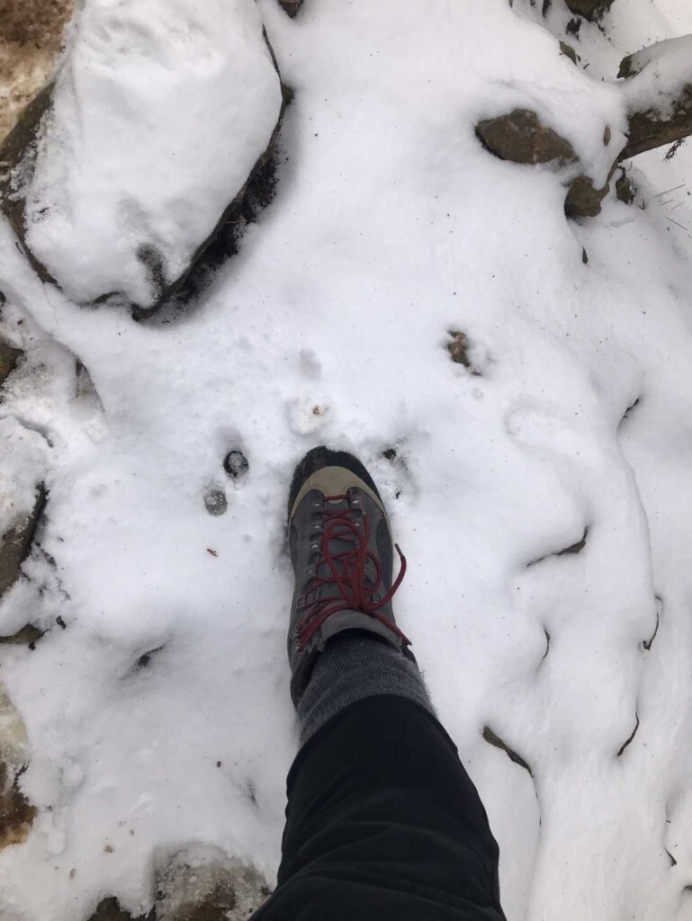 ザクザク 楽しい