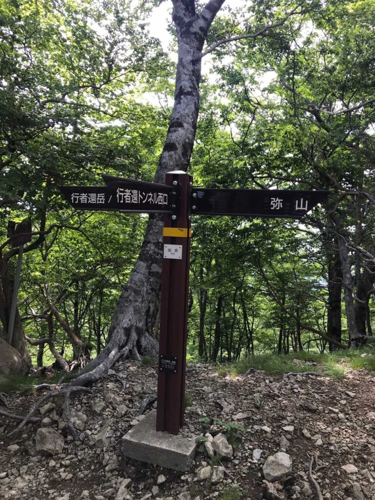 行者還方面と弥山方面の分岐道標