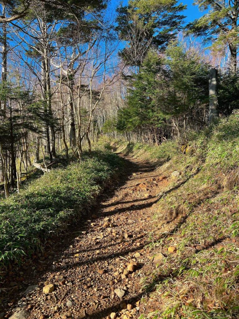 今日はほんといい天気