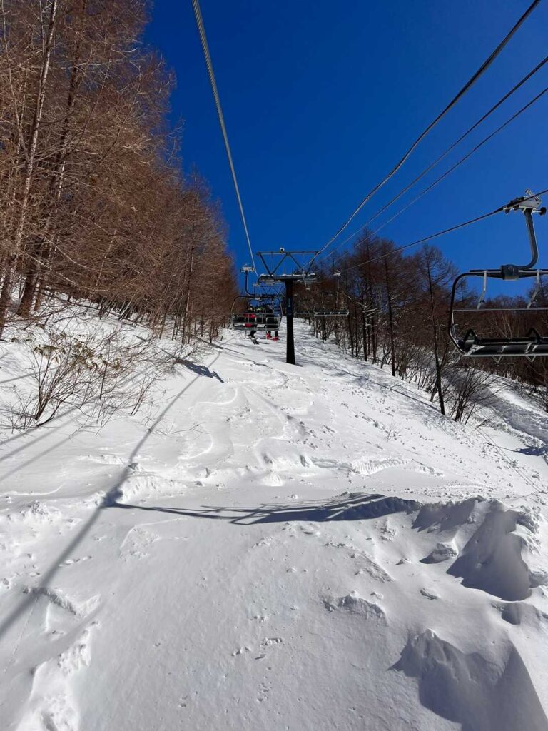 リフトからの眺め