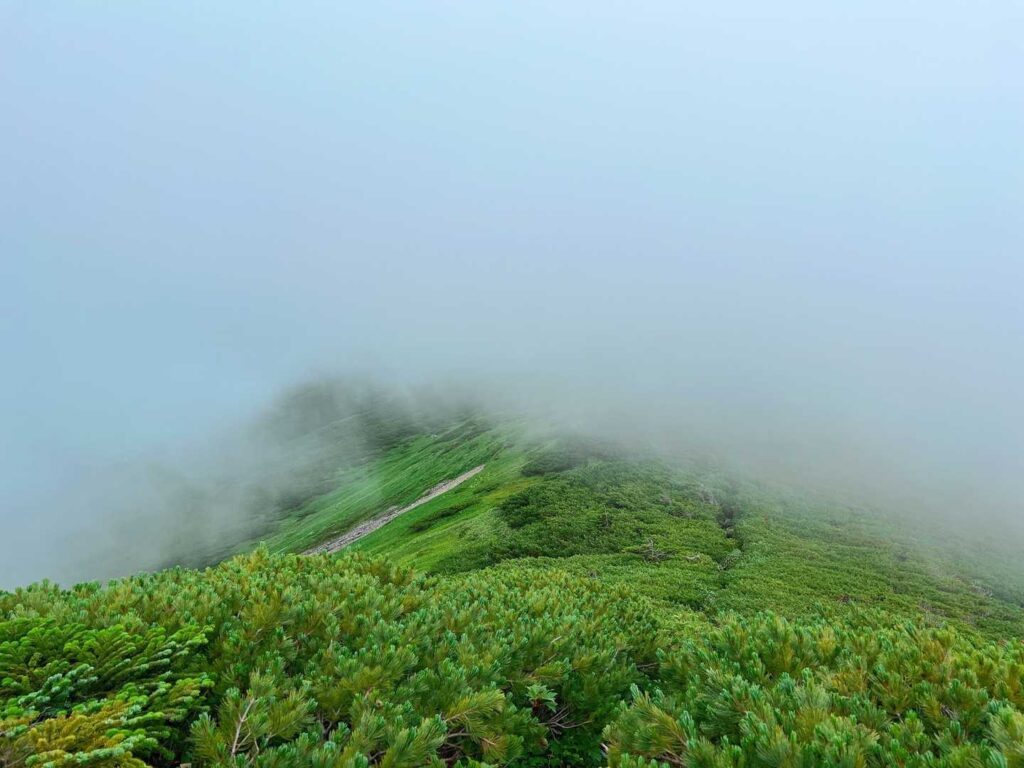ガスってきた稜線
