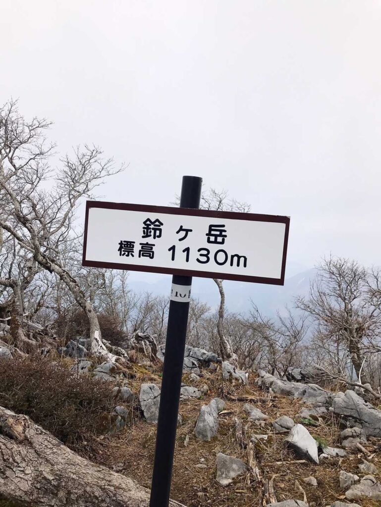 鈴ケ岳に到着🗻 / この裏にも福寿草がいっぱいありました🌸