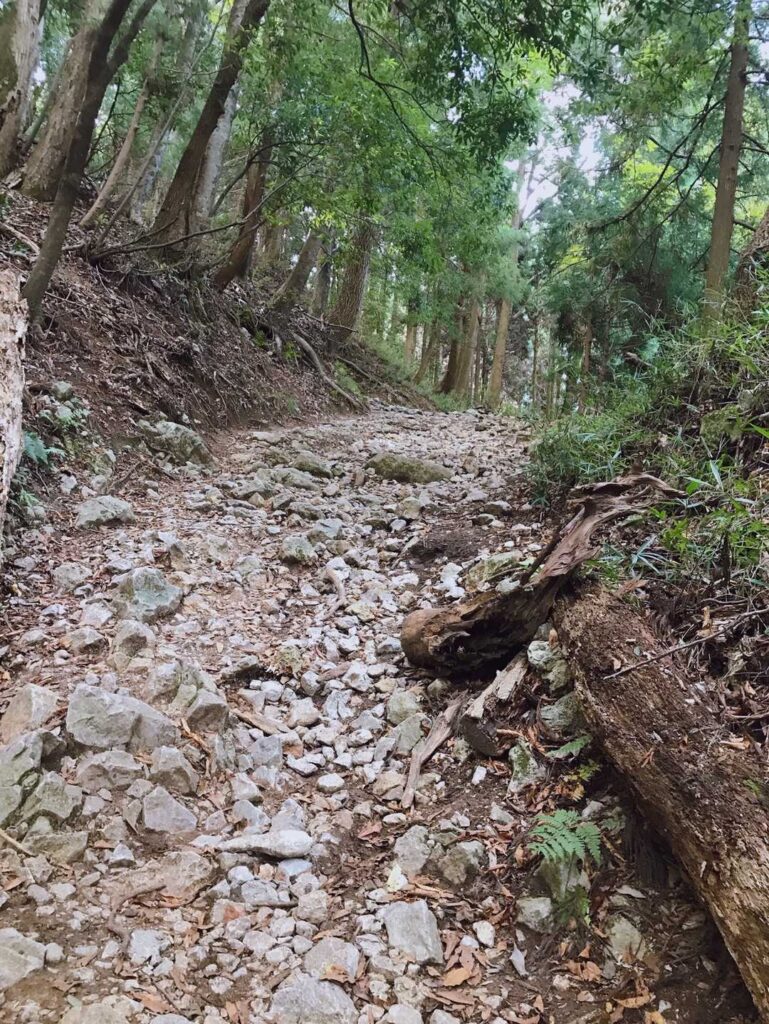 石の多い登山道