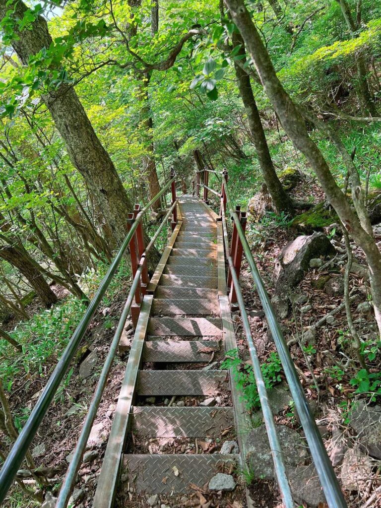 この急階段……