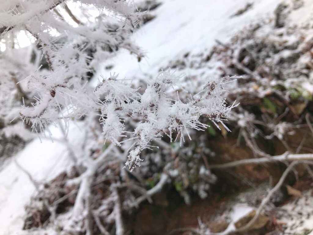 自然が作り出した芸術