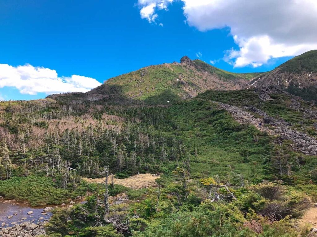 思ったより長い、腹減った