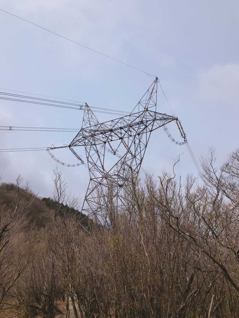 噂のネコミミ鉄塔