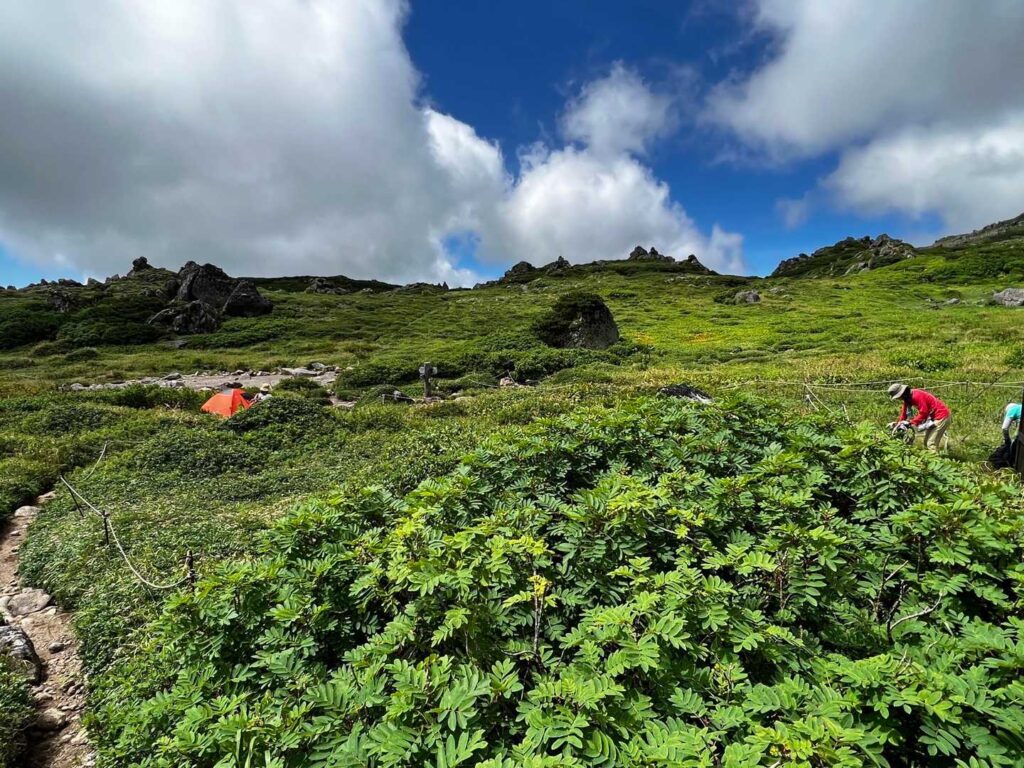 トムラウシ公園を振り返る