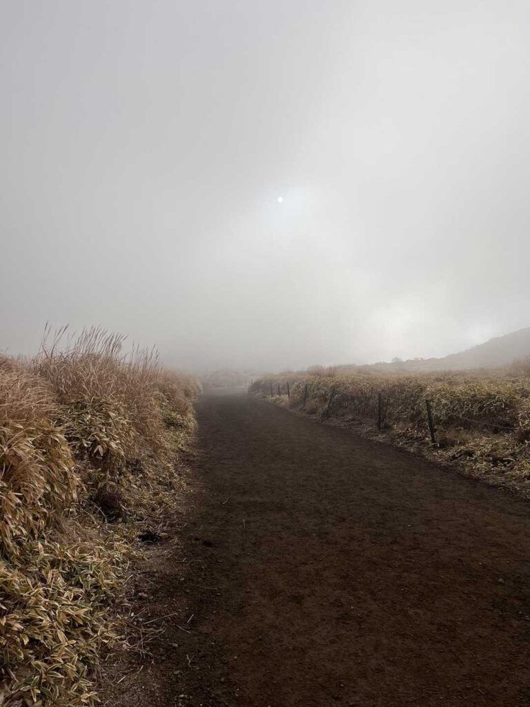 ガスで真っ白な登山道