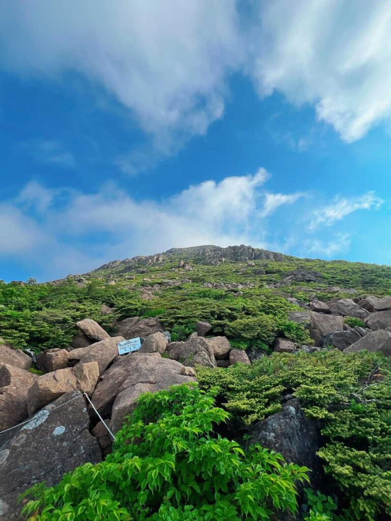 視界が開けてきた