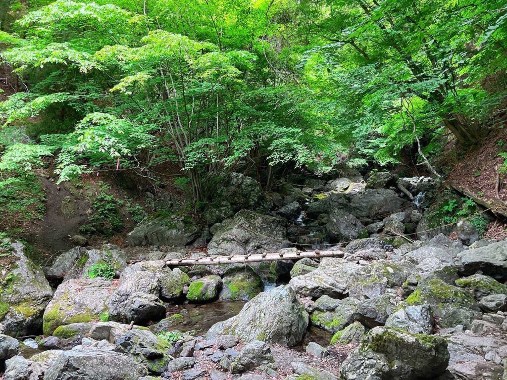 沢に架かる橋を渡る