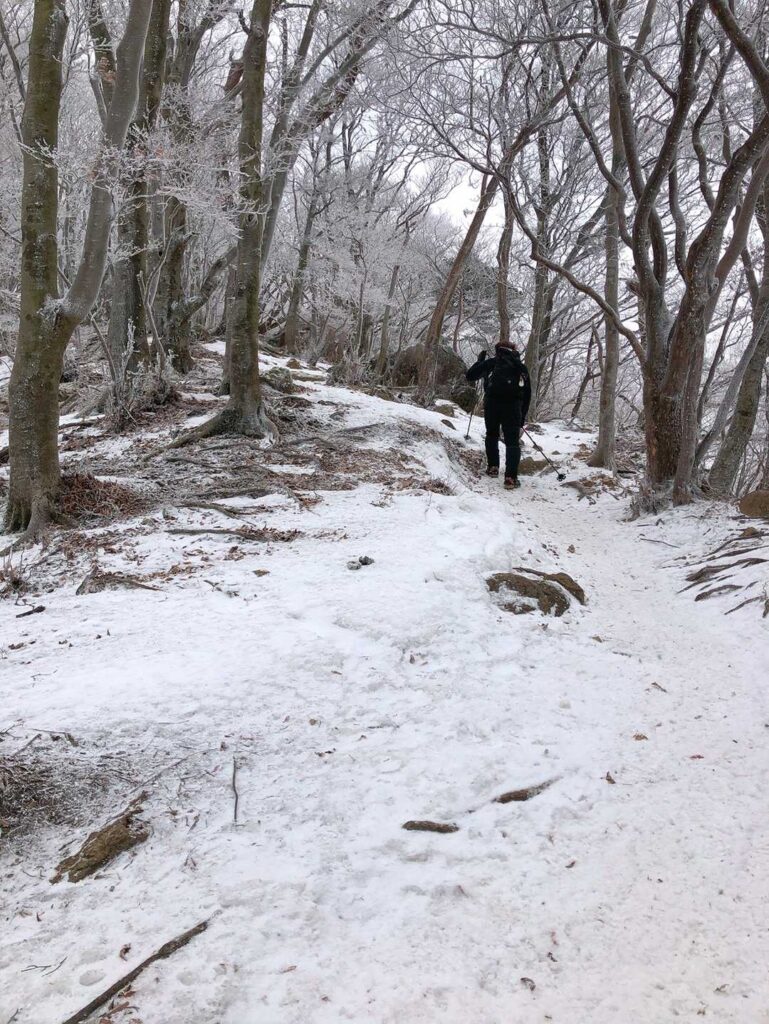 足も軽くなる霧氷ゾーン