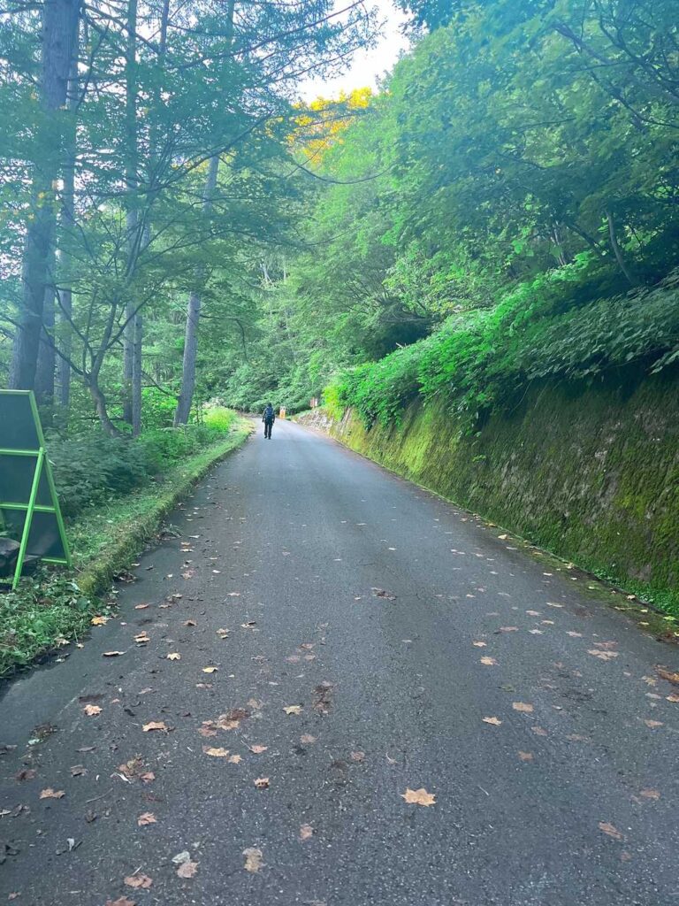 登山口へ向かうアスファルトの道