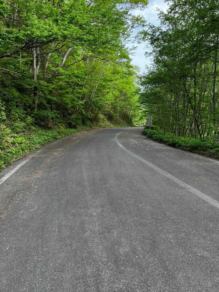 登山口からの林道がまた長い