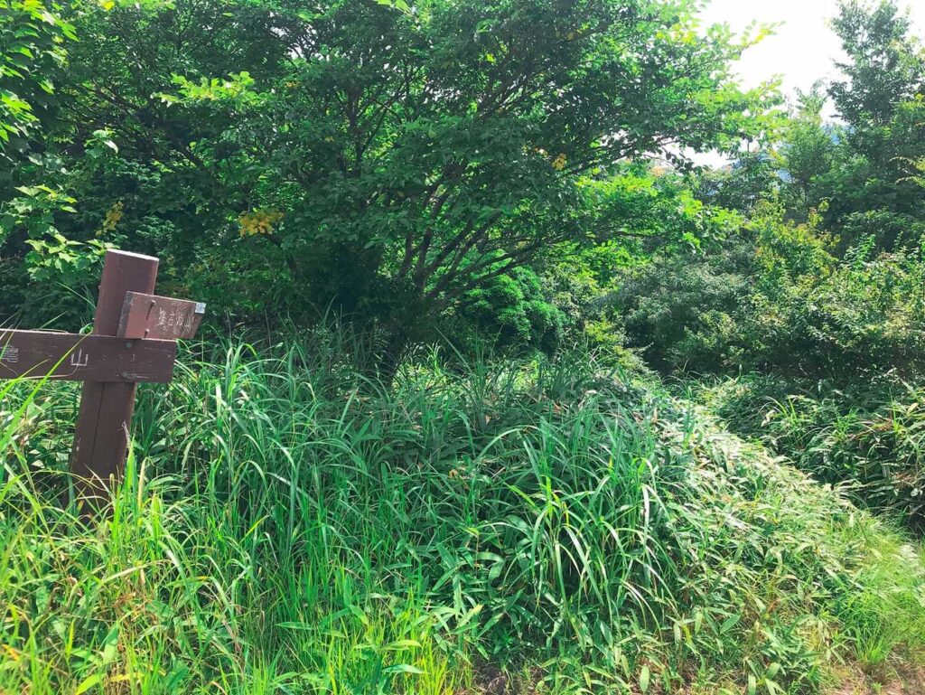 ここから 曲がります