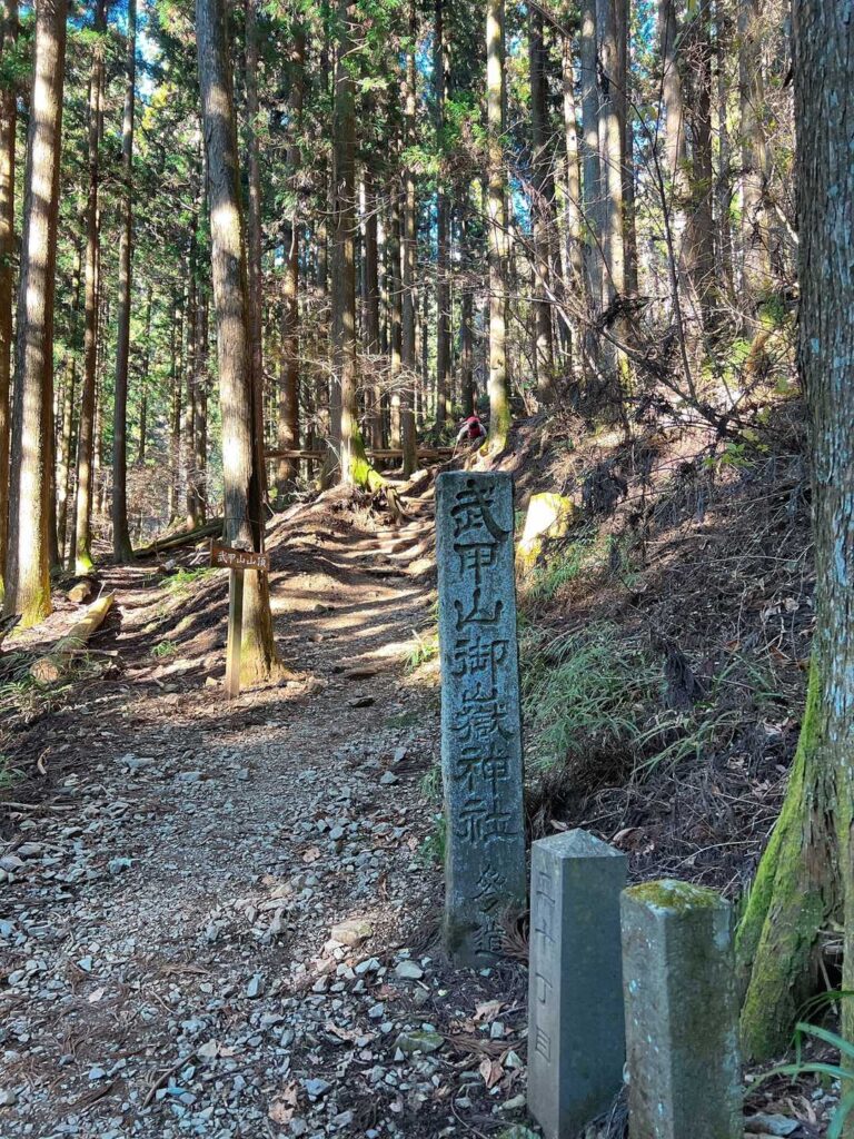 道中の様子（要目視確認）