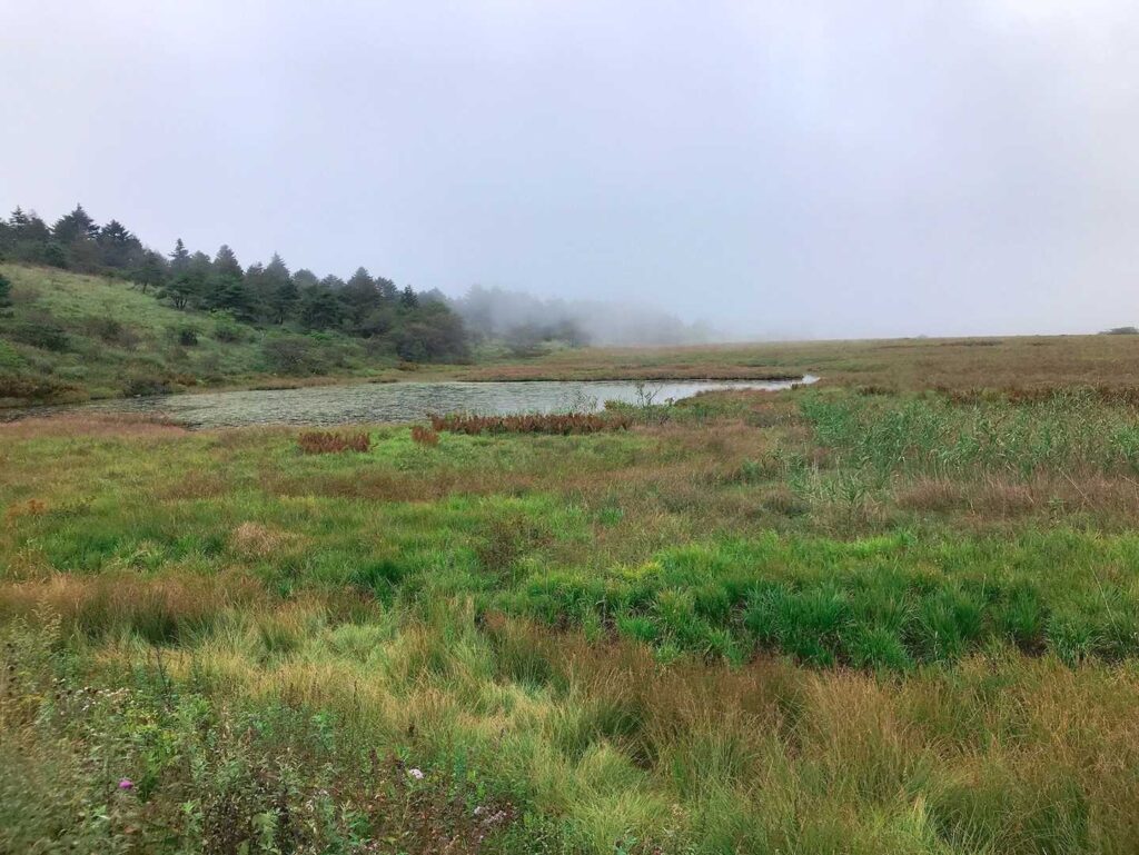 池塘(水溜まり)を発見