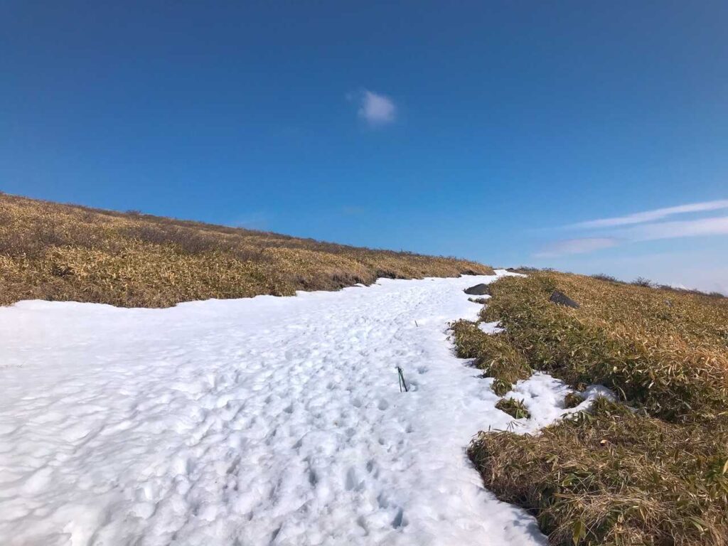 結局歩いて下山。残雪の道を戻る