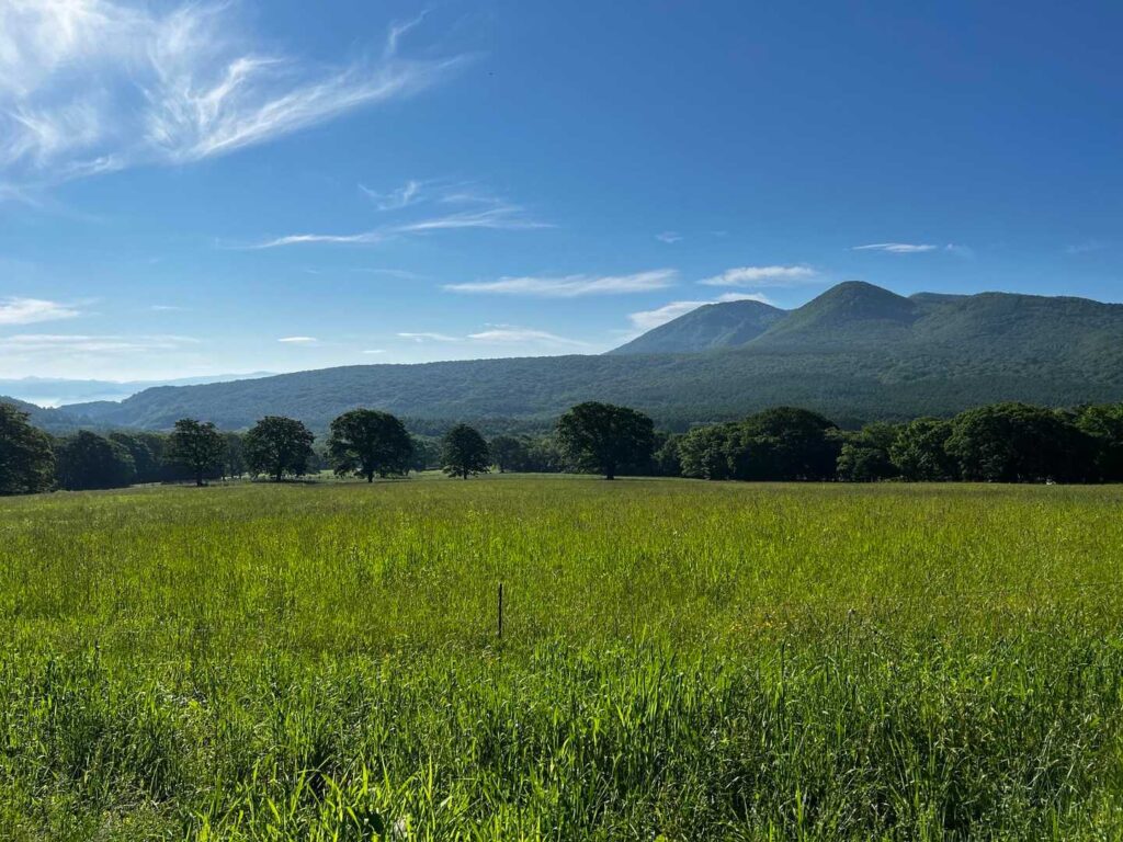 登山口に向かう道。いい天気