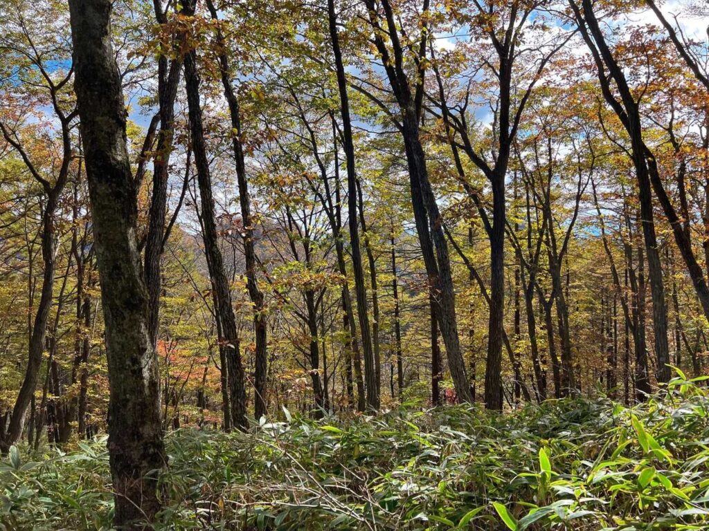 榛名湖に向けて下山すると