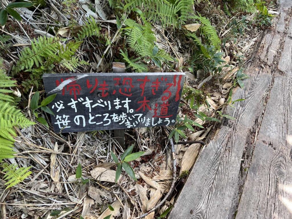 上から見下ろす駒の小屋と湿原