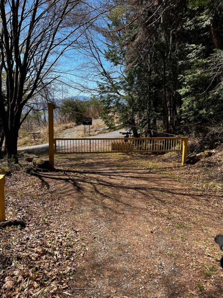 舗装された林道に