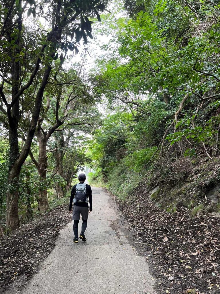 とりあえず暫く道路を / かなり軽くしてます