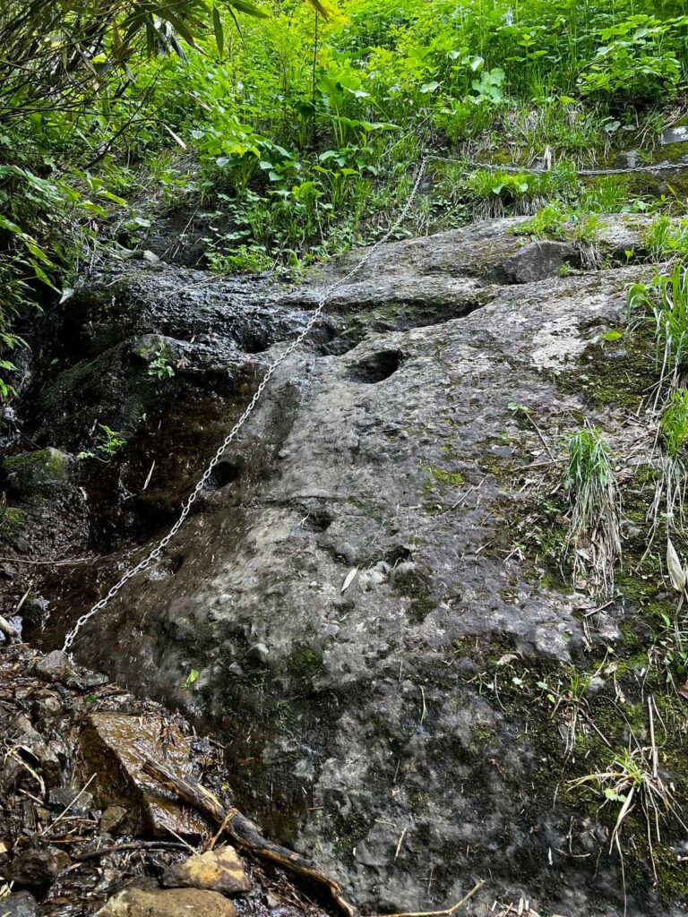 上から見るとステップが見えにくい