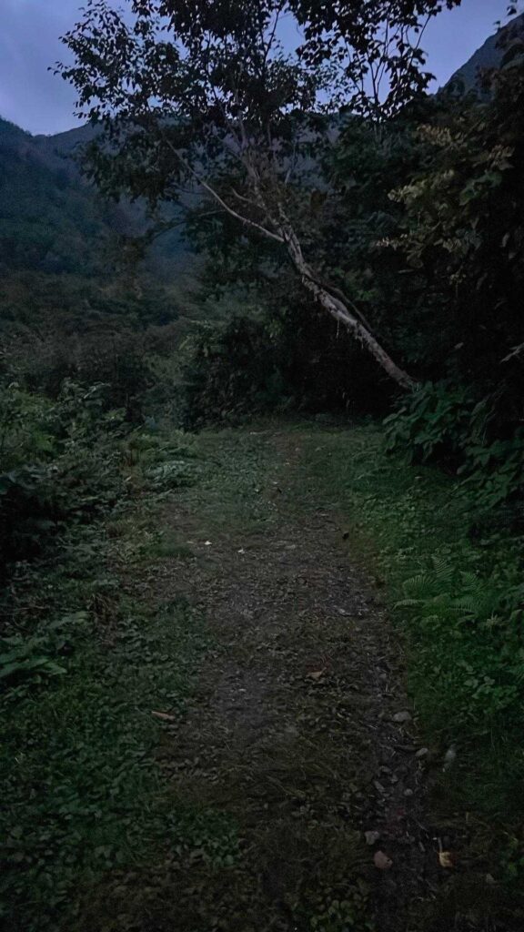 早朝の薄暗い登山道