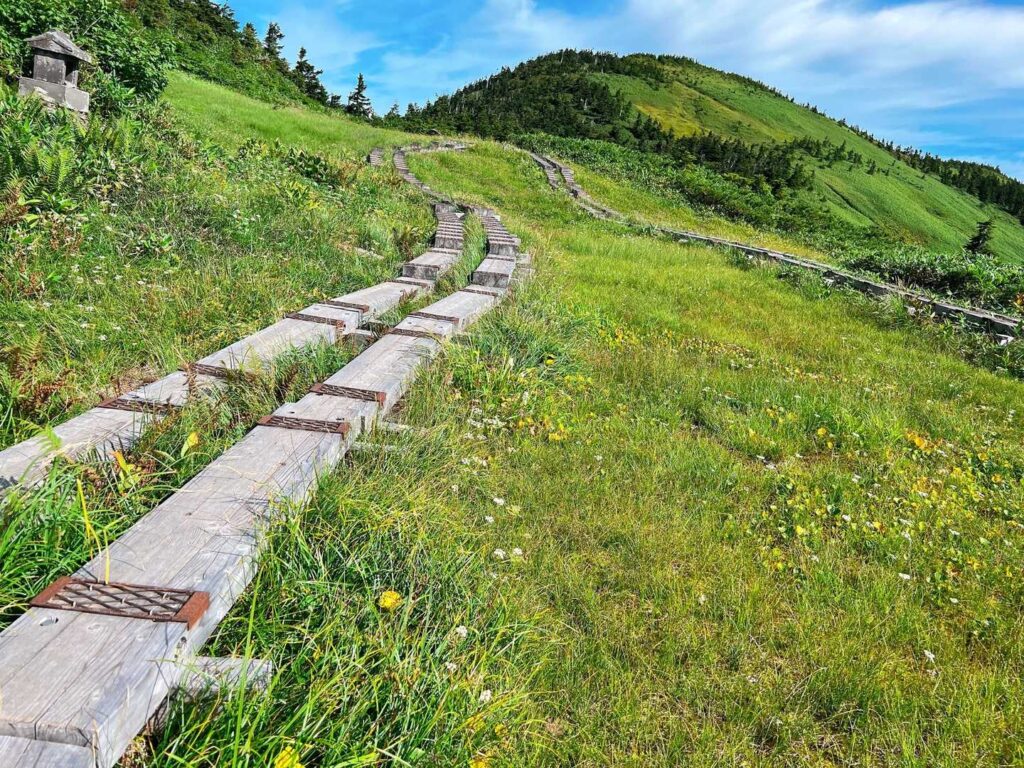 山頂方面を望む