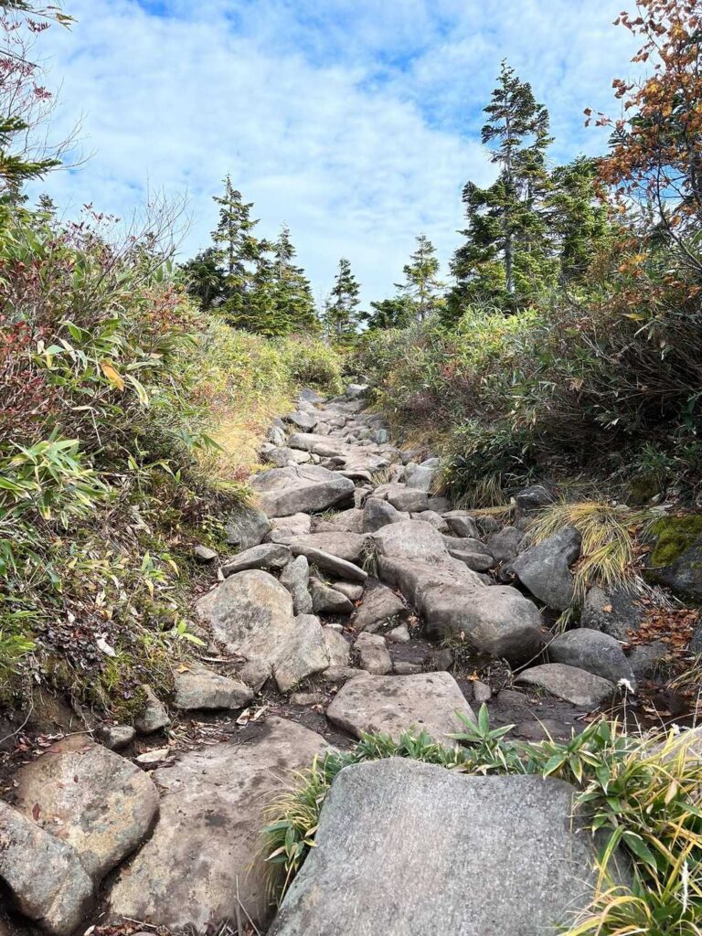 ゴロゴロ岩の登り