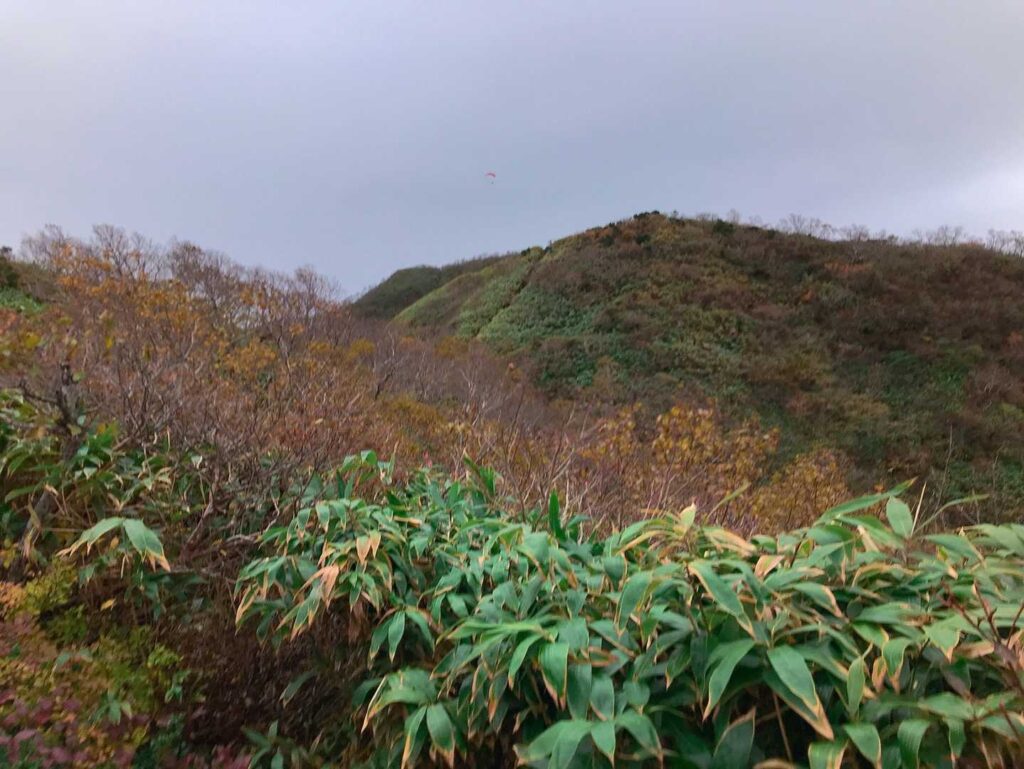 紅葉と笹の稜線