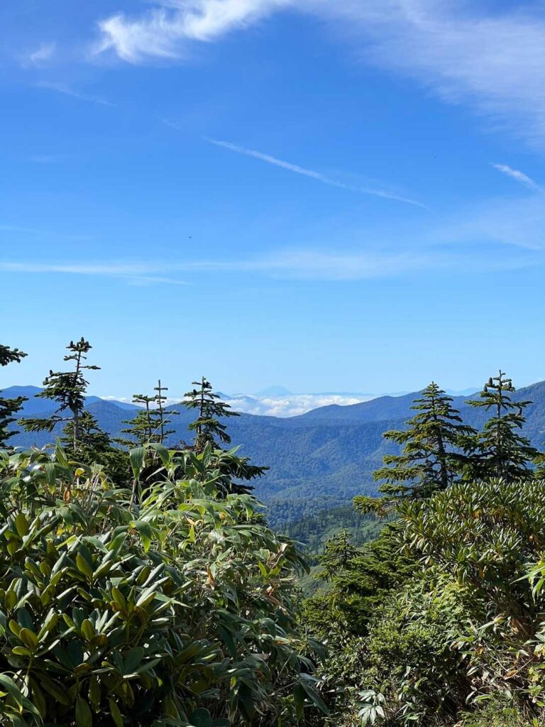 山頂から富士山が見える展望