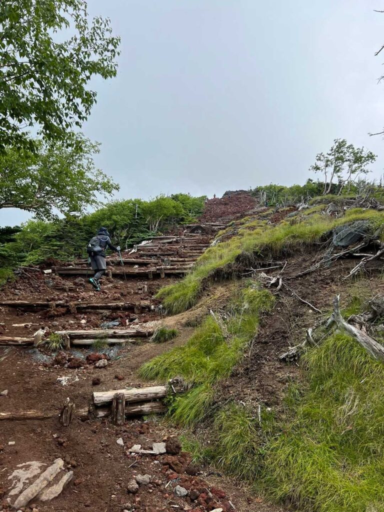 山頂直下の最後の急階段