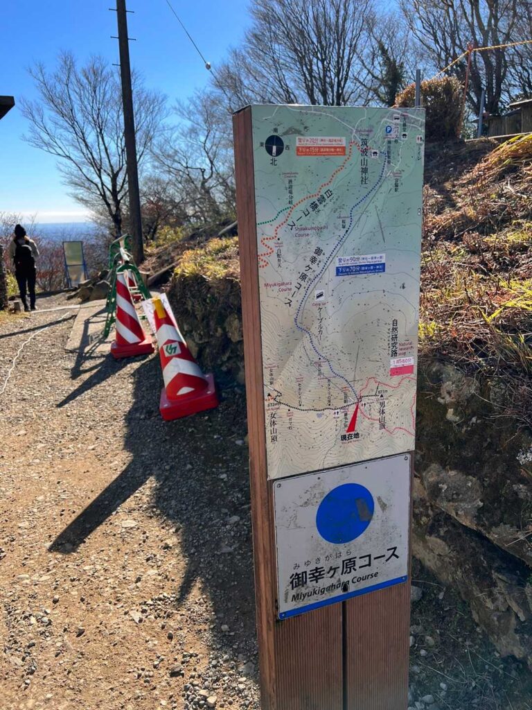 御幸ヶ原コースの下山路