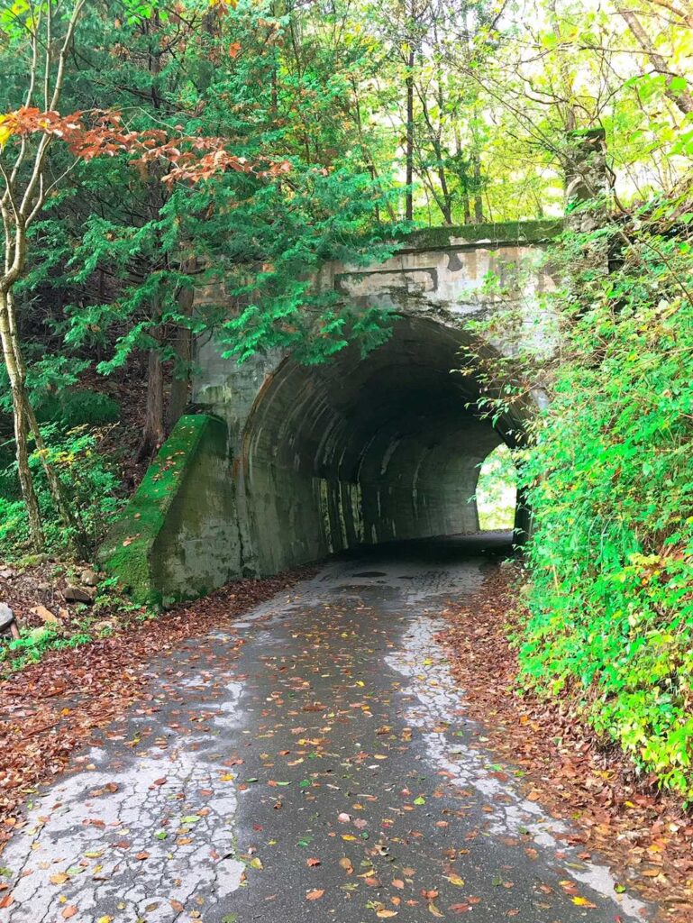 登山口手前のトンネル