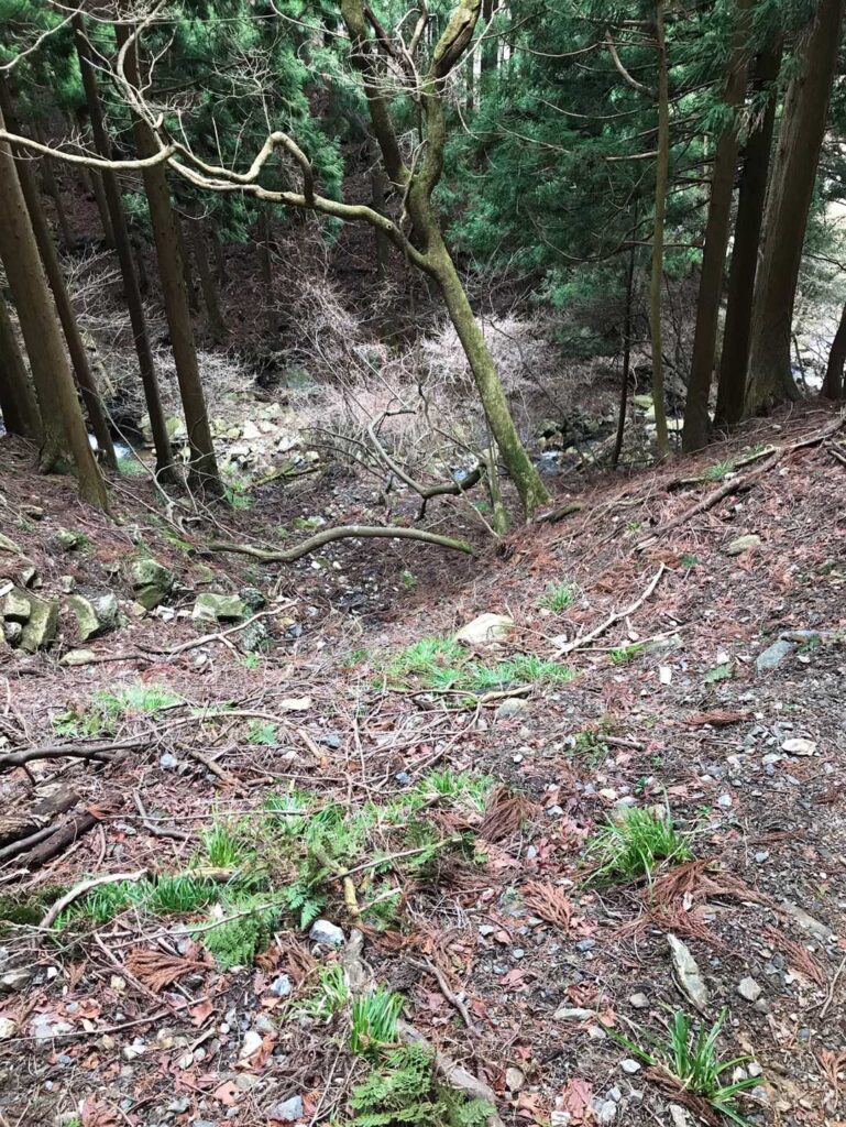 いきなり急斜面