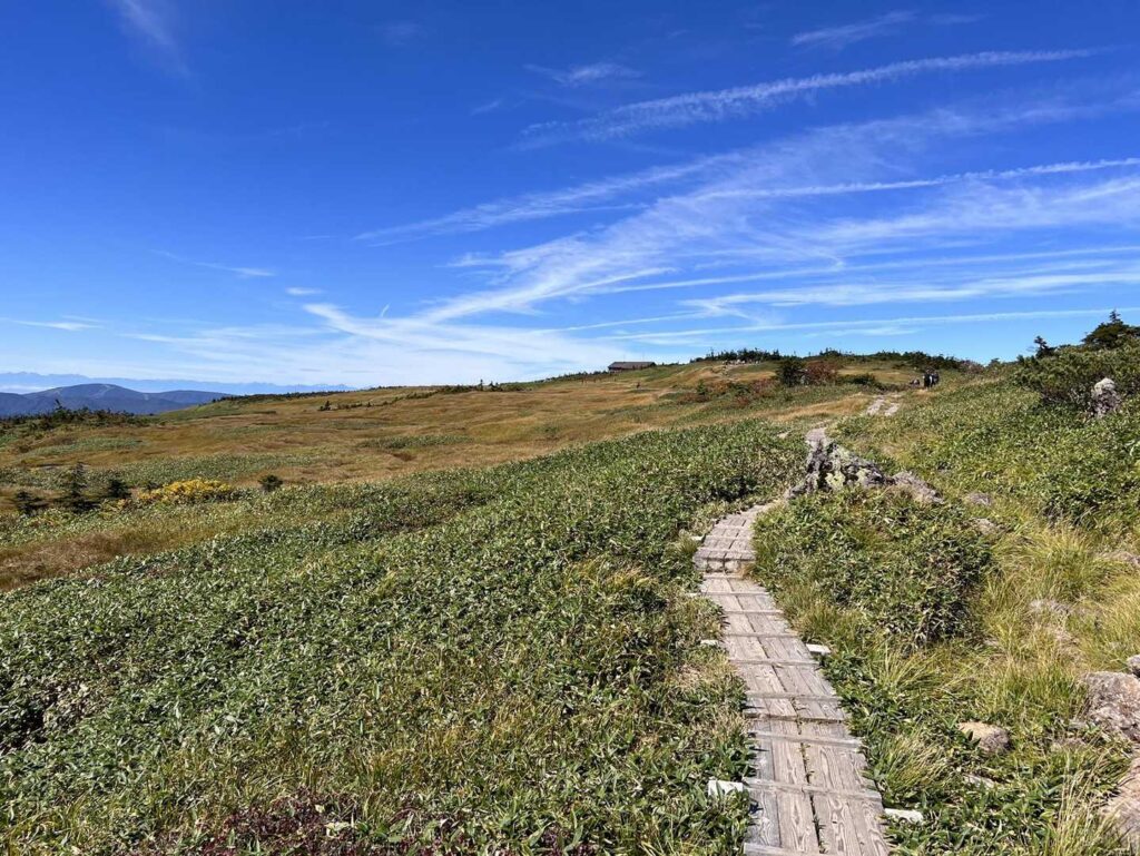苗場山の山頂湿原に広がる池塘