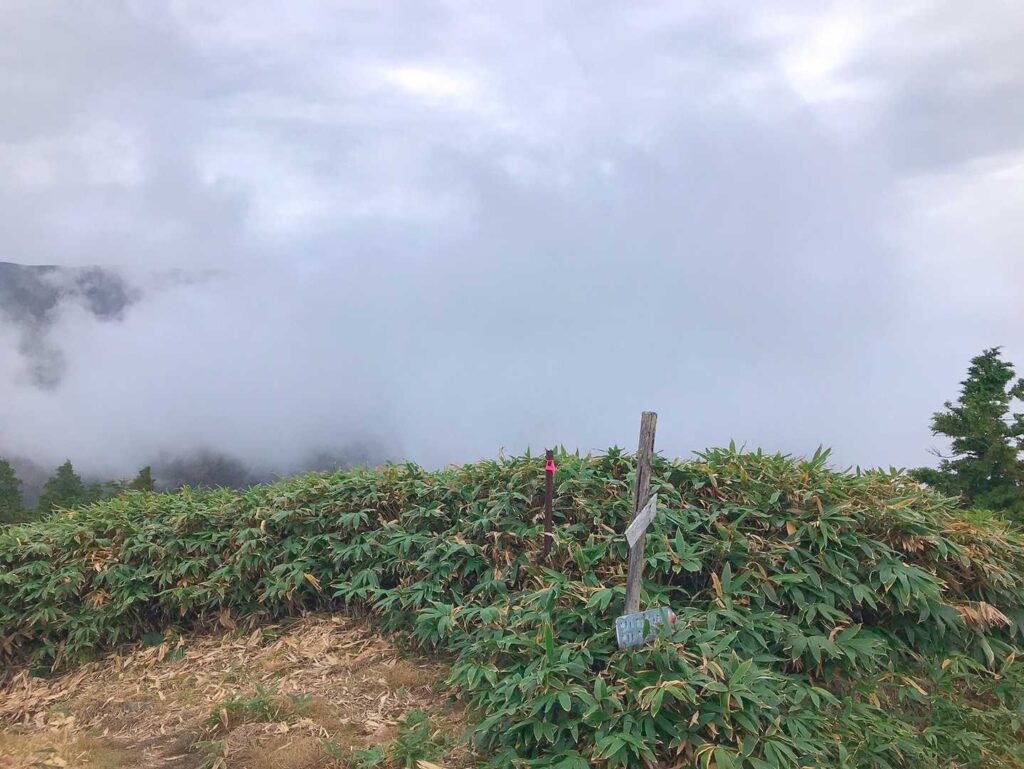 曇ってきた稜線