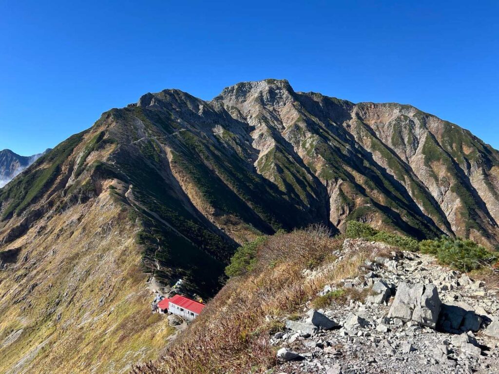 角度を変えると武田菱が見える