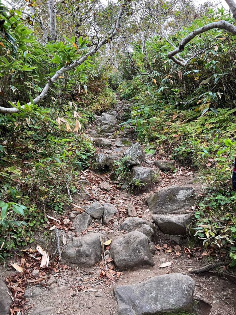 急登が続く登山道